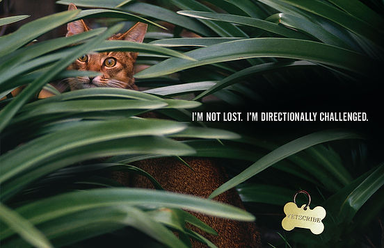 VETSCRIBE__DECAL__Lost (v1.5) v2019_01_0