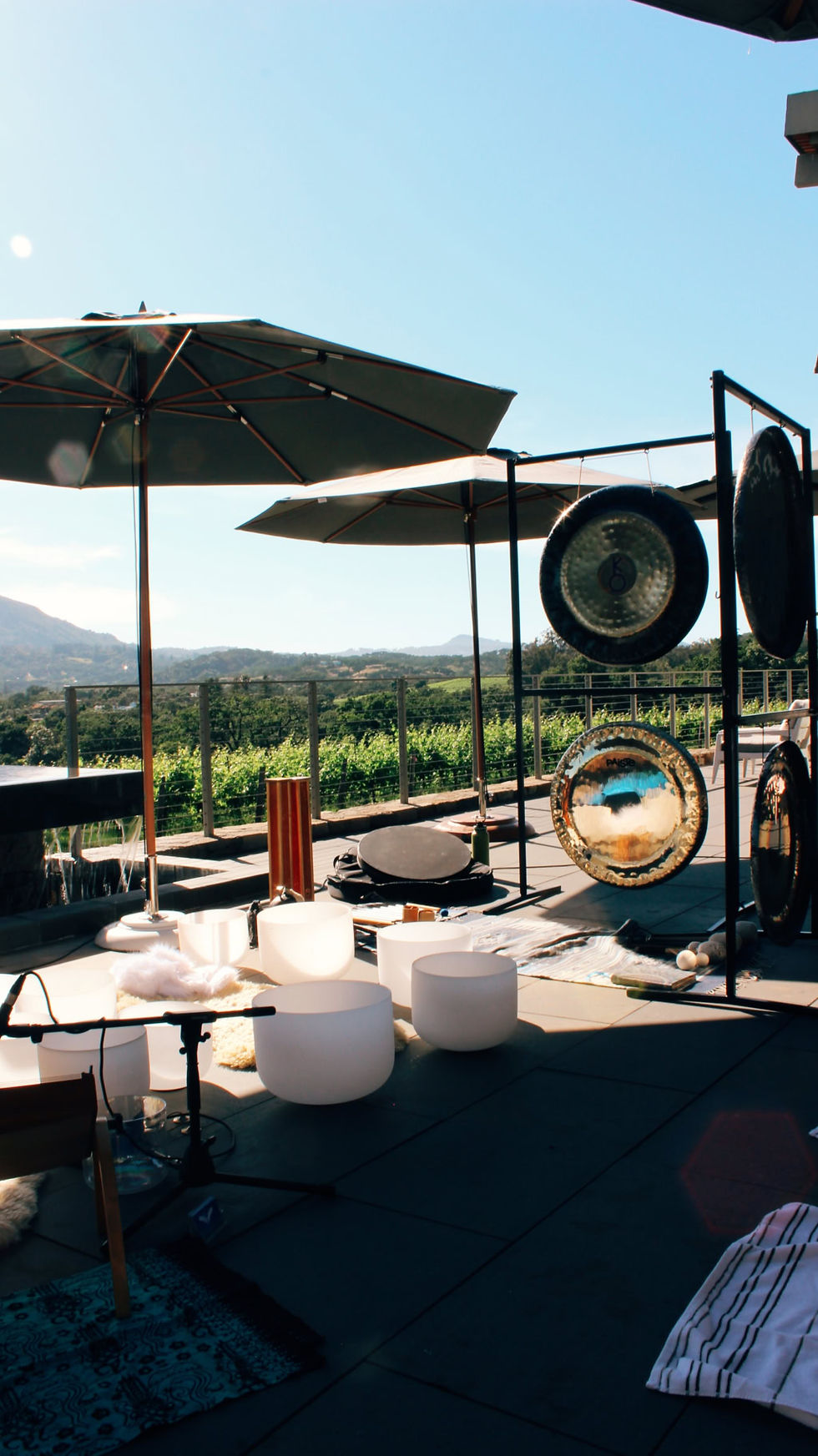 Soil & Sound: Hamel Winery Sound Bath, Wine & Bites!