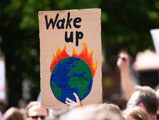 Activism During a Pandemic