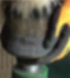 ree