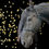 Thumbnail: 8mm Rope Halter