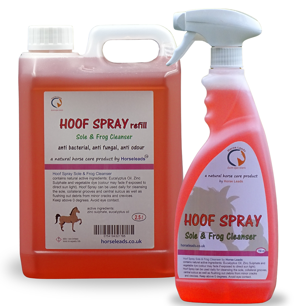 Hoof Spray Sole & Frog Cleanser