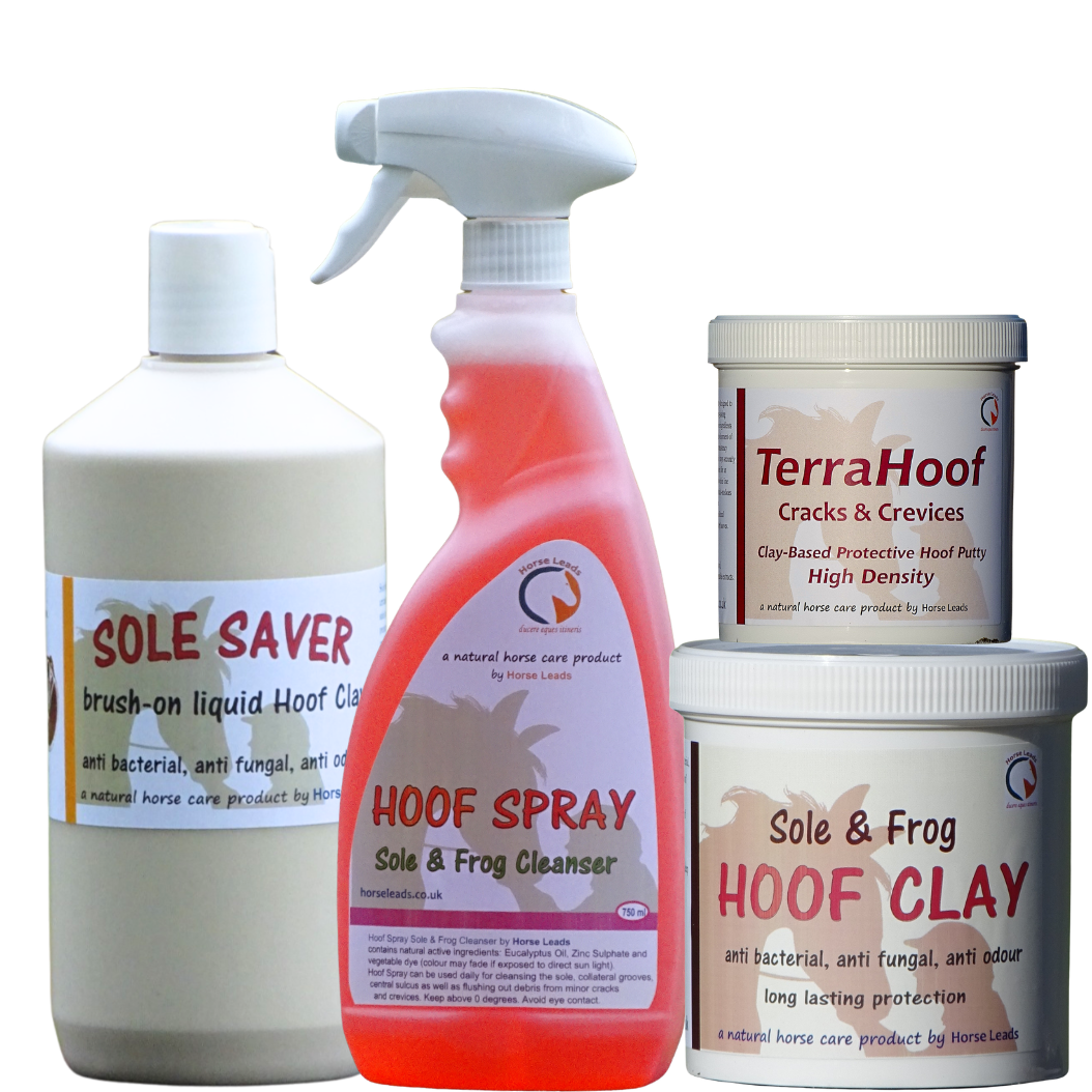 The Complete Hoof Care Collection