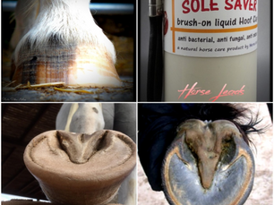 Sole Saver Hints and Tips