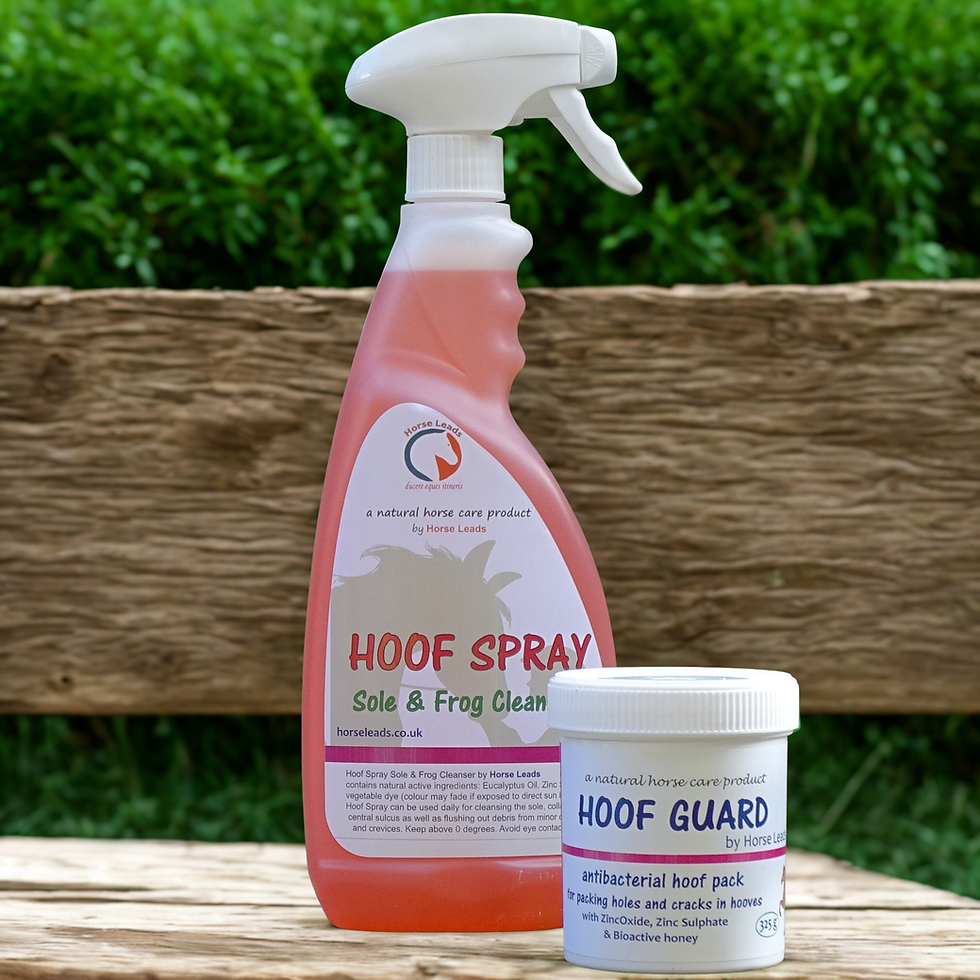 Thumbnail: Hoof Guard Cavity Filler & Hoof Spray Combo