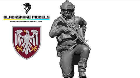 82e Brigade D'Assaut Aérien Ukrainienne 01