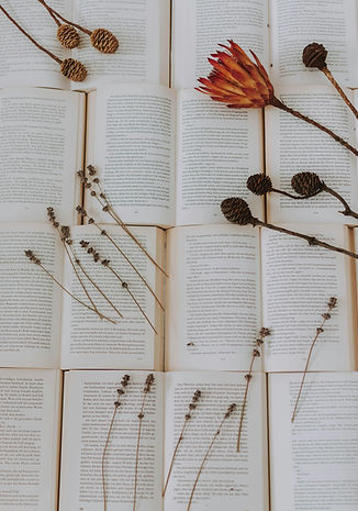 pexels-lilartsy-3368816.jpg