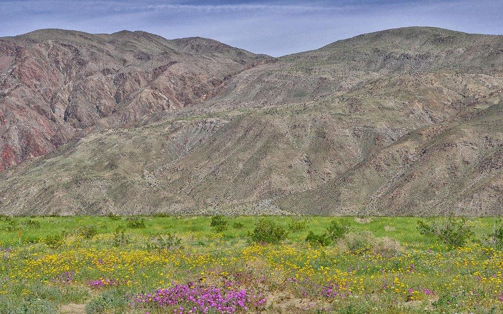 Serving Palm Springs and Beyond!