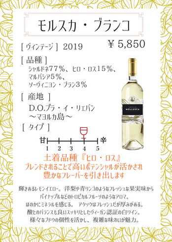 モルスカ・ブランコ.png