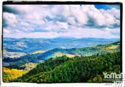 _MG_6661_0_2_Localtone