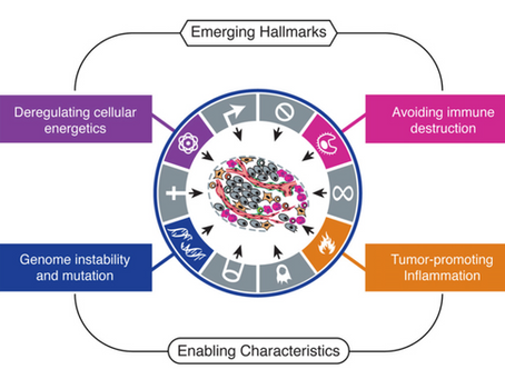 2022 Cancer TIME Tutorial Blog