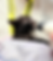 Screenshot 2026-03-15 at 12.53.14 PM