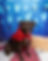 A dog sitting in front a ble background with stars