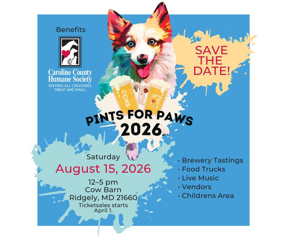 Pints For Paws August 2026