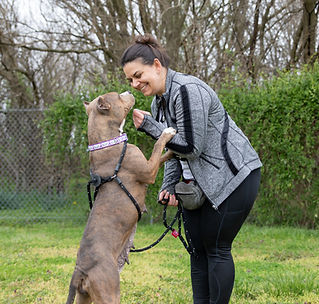 A woman smiling in the face of a staffordshire terrier mix