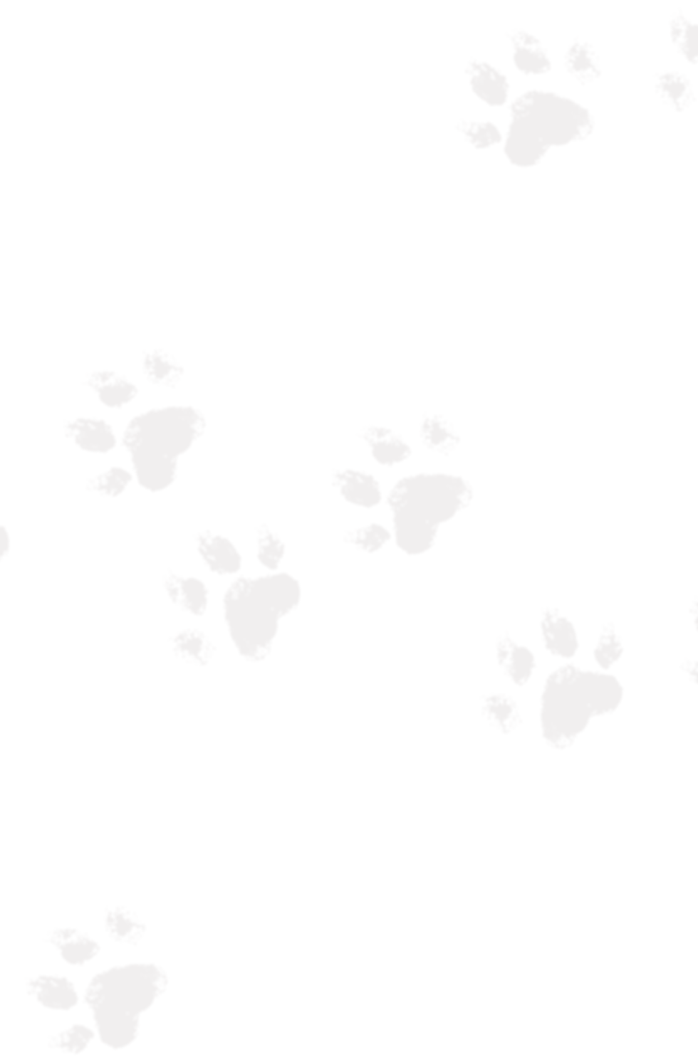 Untitled design (90).png