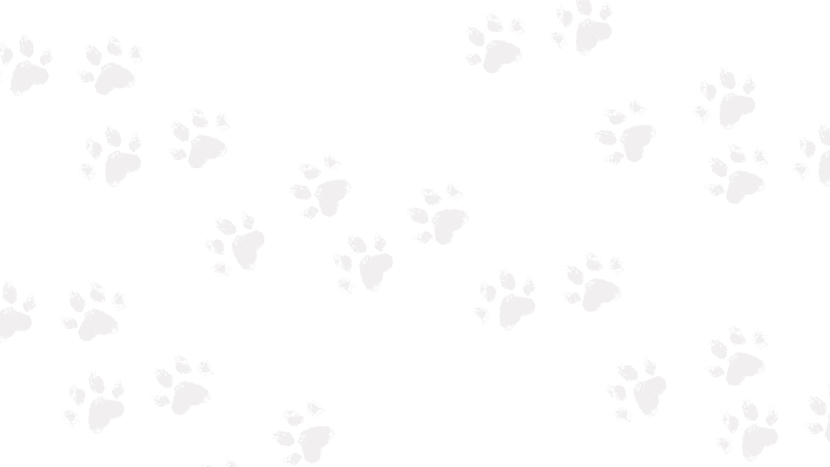 Untitled design (90).png