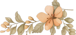 AdobeStock_757669438_edited.png