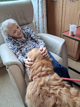 Employee of the Month – November 2025: Meet Dan, Our Wonderful Therapy Dog