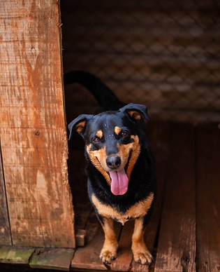 PHOTO-2026-06-25-12-01-52.jpg