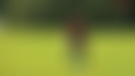 BOREK DOMA ZDEMOLOVAL CHVALŠINY