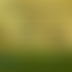 Zimní příprava muži