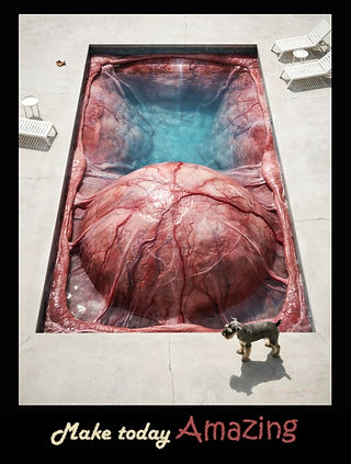 A motivational poster showing a Boston Terrier beside a swimming pool containing a pink and red bloated uterine mass with the text "Make Today Amazing"