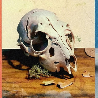 Mysterious Skull