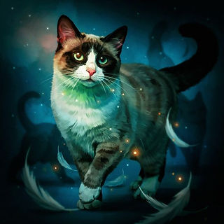 Summer Spirits cosmic ancient cat wisdom