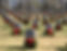 Quantico+2.jpg