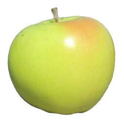 Pristine
