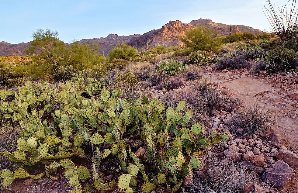 Hieroglyphic Trail