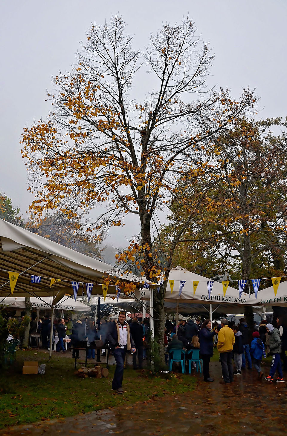 Mavrilo Chesnut Festival