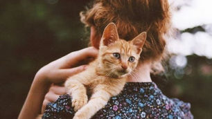 Ефим Златкин. РЫЖАЯ КОШЕЧКА