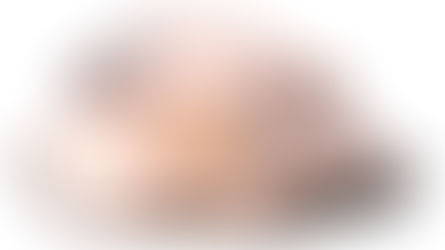 Очерки по истории русско-израильской литературы