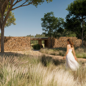 ANTAGORDENSE - COMPLEXO