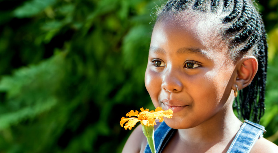 canstockphoto32534915.jpg