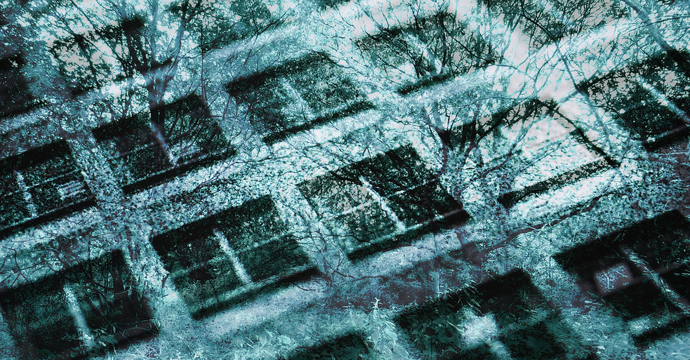 Canis Lupus, overgrown city, Mander Tower windows