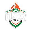 DSX-Logo-png_nobackground.png