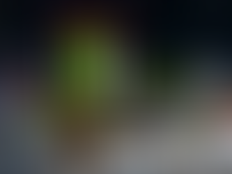 FÖDERATION ZU PARADE IN F-C-N CITY EINGELADEN