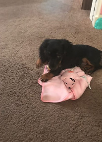 I was nominated by Denise Jackson to pos