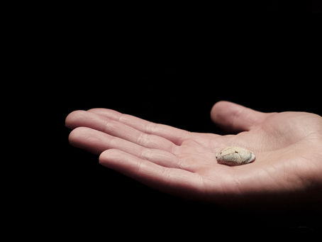 Ab heute im Netz! website launch! 