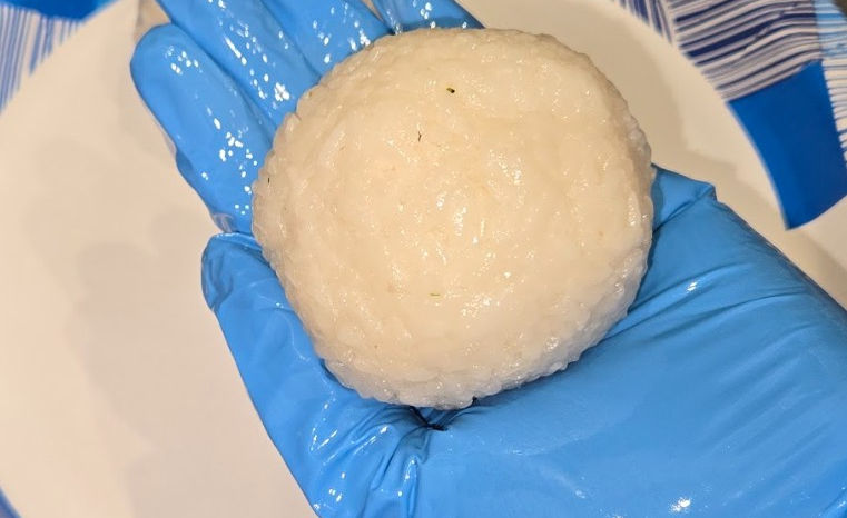 rice ball.jpg