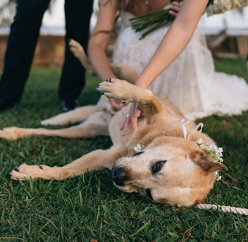 Tummy rub_edited.jpg