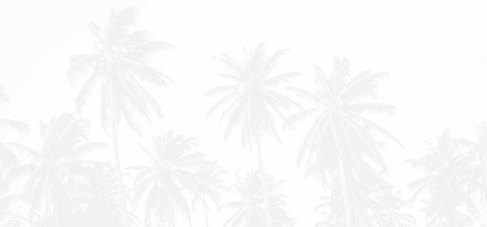 Palm Trees_edited_edited_edited_edited_edited.png