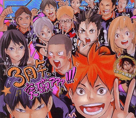 𝘏𝘢𝘪𝘬𝘺𝘶𝘶 (ﾉ´ヮ´)ﾉ__ ･ﾟ.jpg