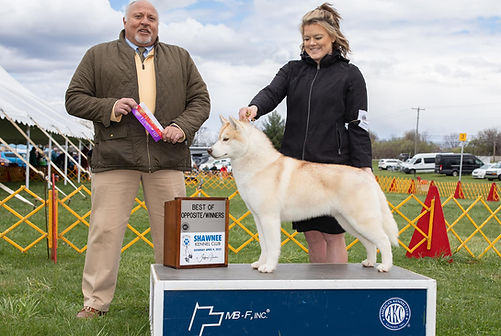 Mystic Winner Ms. Iracebeth of Crims