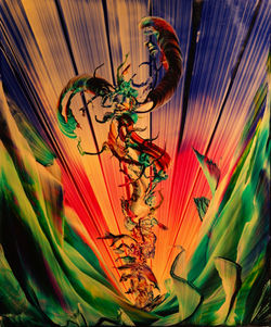 No.9 : Size : 20 x 24 inches