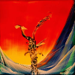 No.41 : Size : 12 x 12 inches