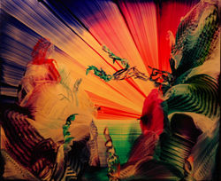 No.8 : Size : 20 x 24 inches